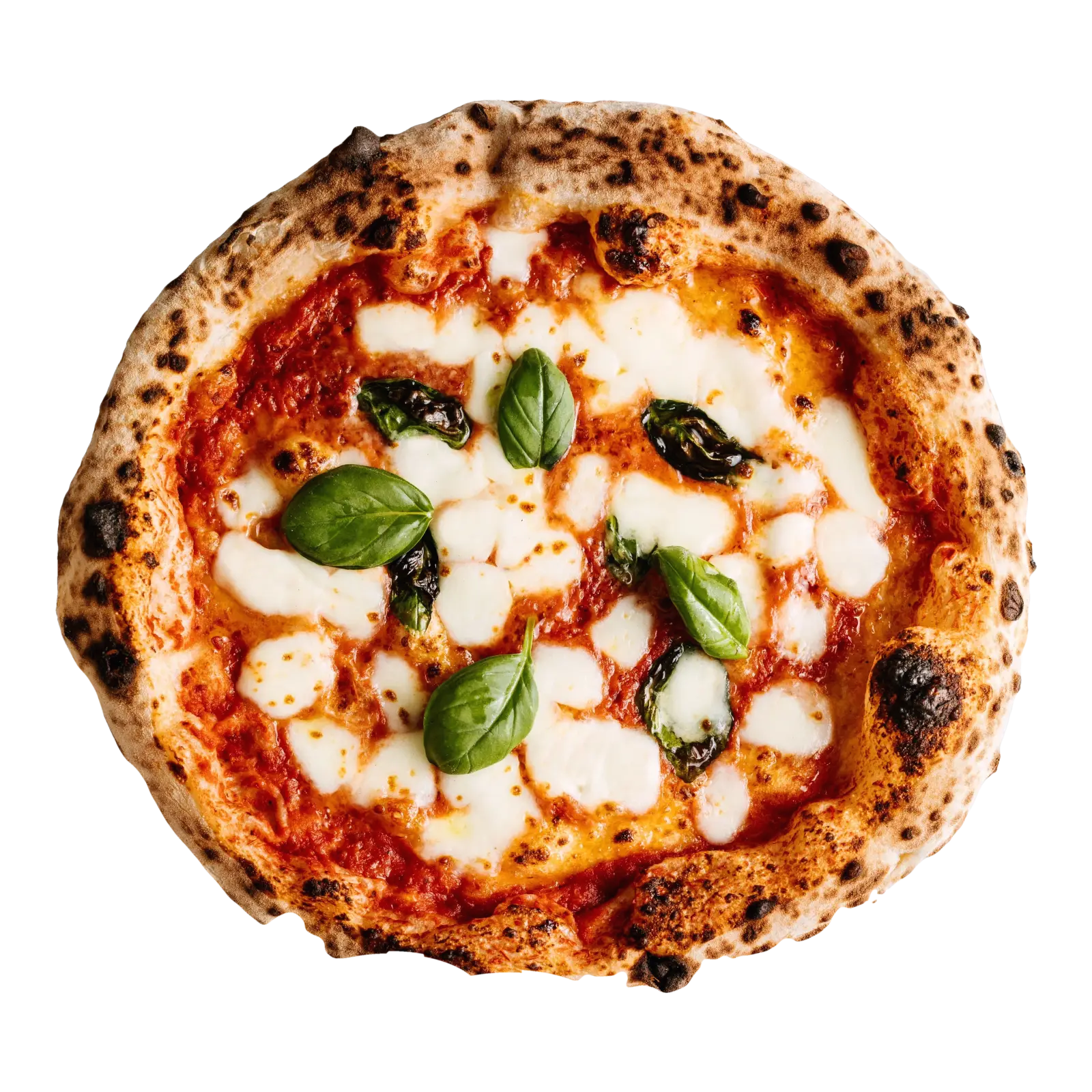 Pizza Pia